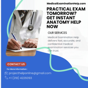 Practical Exam Tomorrow Get Instant Anatomy Help Now